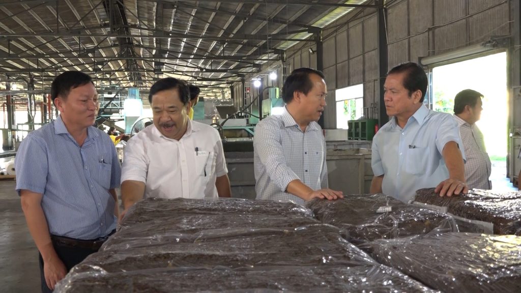 Tổng Giám đốc VRG Lê Thanh Hưng làm việc với Công ty CP Quasa-Geruco và Công ty CP Gỗ MDF VRG Quảng Trị